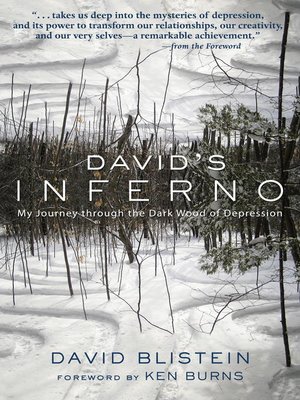 cover image of David's Inferno